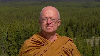 Medytacja prowadzona - Ajahn Thanissaro [LEKTOR PL]