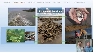 WEBINAR: Shellfish and the Environment: Restoration Efforts in Rhode Island