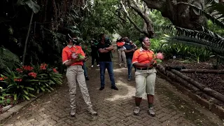 Kirstenbosch Jerusalema Dance Challenge