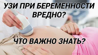 УЗИ при беременности: вредно ли, когда делать, что показывает?