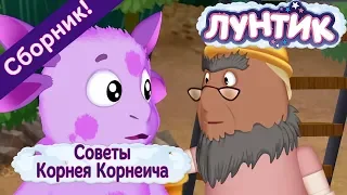 Советы Корнея Корнеича 💫 Лунтик 💫 Сборник мультфильмов 2018