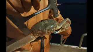 Tanner Crabbing in Kodiak Alaska! - Part 4 Tanner Crab 2023