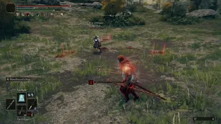 The least buggy elden ring fight