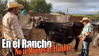 ASÍ SE VIVE en el rancho 1/2