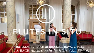 Flutes in Situ (E08) - Brussels Royal Chapel . J.S. BACH BWV 676. "Allein Gott in der Höh sei Ehr"
