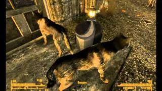 Fallout: New Vegas. Русский цикл.30 серия - Пуск!