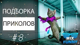 Подборка приколов Кубы за Май 2017 ⭕ MIX FUNNY #8