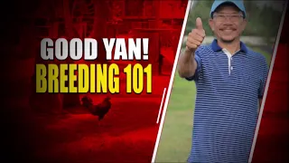 S1 EP3 Breeding 101 feat. Doc Ronnie Magbalon