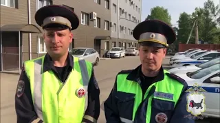 Иркутские полицейские подобрали на трассе травмированную косулю и доставили её в питомник