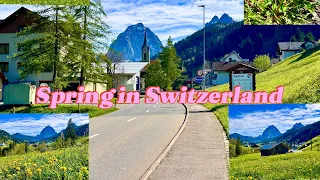 📍 Alpthal Schwyz Switzerland🇨🇭@YouTube @MySwitzerland @INmedia22