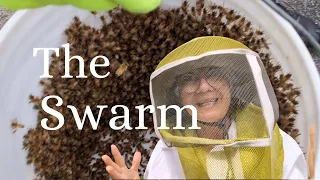 The Swarm