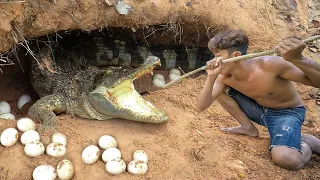Viral Video 2021 - Found Big Crocodile Nest n Cooking Crocodile Egg with Chili Sauce Eating Deliciou