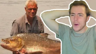 Fish Biologist reacts to "River Monsters: Tigerfish"