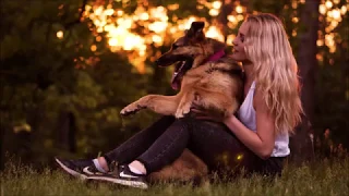 Dog tricks by German Shepherd Britney - 6 years