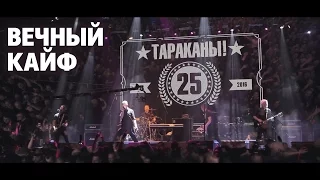 Тараканы! "Вечный кайф"