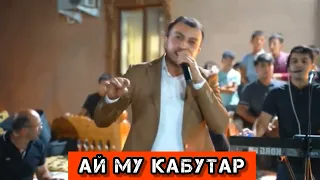 Дамирбек Олимов/Ай му кабутар