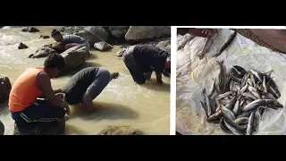 Amazing fishing technique in nepal 'Bare hand fishing '