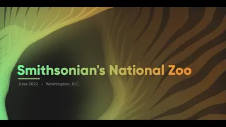 Smithsonian's National Zoo - Washington, D.C. - June 2022 4K