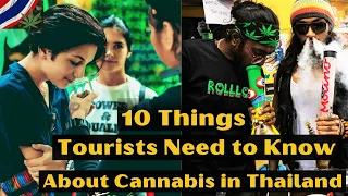 Cannabis Guide for Tourists Travel in Thailand / 10 Things  Need to Know About Cannabis in Thailand.