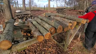 Shiitake mushroom log gang hard at work inoculating!