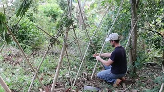 Constructing a Living Fence