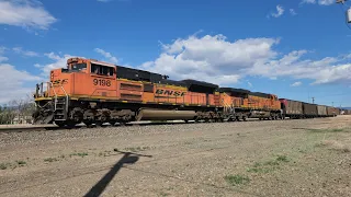 BNSF XCLX hopper cars going to Peublo, CO