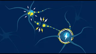 HEADS UP: sobre las conmociones cerebrales – Descripción de audio