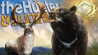 I Got 2 DIFFERENT Great Ones In 1 Day! Plus Black Bear & Fallow Guides! Call of the wild