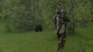 Black Bear Hunt  - Coastal British Columbia