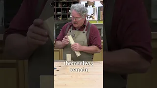 Is Glue Stronger Than Wood? No!