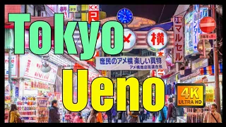【4K】Japan Walk - Tokyo ,Ueno ,Ameyoko アメ横 January 2021,#Japan #Tokyo #Ameyoko #アメ横
