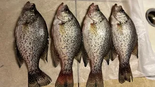 Crappie Catch,Clean,and Cook! (Lake Chickamauga)