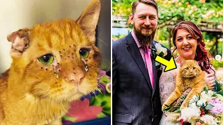 Couple Adopted The Saddest Cat In The World. 1 Hour Later, Something Amazing Happened!