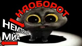 Кот скэтмен в обратную сторону!