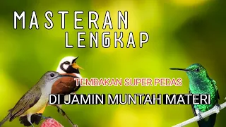 2 jam MASTERAN LENGKAP full tembakan super Pedas di jamin MUNTAH MATERI