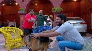 Standup Comedy By Rana Ijaz | Rana Ijaz New Video | New Dog Video Part 02 | #ranaijaz #comedy #funny