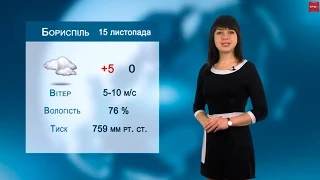 Прогноз погоди у Борисполі та Україні на вихідні 15 та 16 листопада