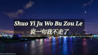 Shuo Yi Ju Wo Bu Zou Le - A Han ( Lyrics Pinyin , Terjemahan Indonesia )