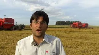 MF combines at work English