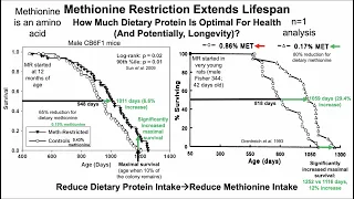 Methionine Restriction Extends Lifespan-What's Optimal For Protein Intake? n=1 Analysis