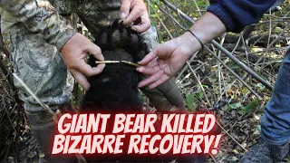 Giant 500-pound bear shot bow hunting - BIZARRE Ending!
