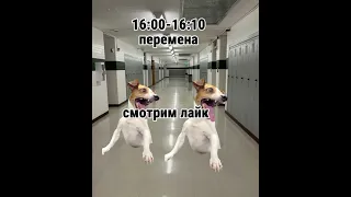 ПОВ: Мой день в среду!