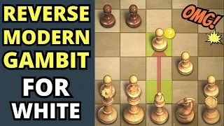 Try the Reverse Modern Gambit to Surprise Everyone 👁️👁️