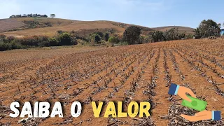 Valor do aluguel de 1 hectare de terra na minha região MG