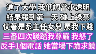 進了大學 我低調當小透明！結果報到第一天 碰上綠茶！仗著是系主任女兒 罵我下賤！三番四次踐踏我尊嚴 我怒了！反手1個電話 她當場下跪求饒！#為人處世#幸福人生#為人處世#生活經驗 #情感故事#婆媳故事