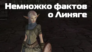 Факты и баги в Lineage 2 (1)