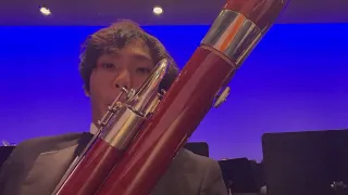 Sleigh Ride from the Perspective of a Bassoon