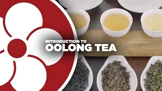 What is OOLONG TEA?