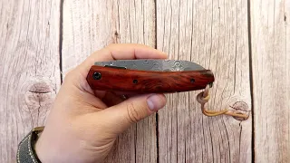 НЕ ТО ЧЕМ КАЖЕТСЯ! Petrified Fish PF-719 DM складной нож