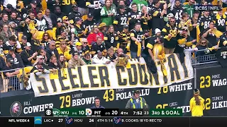 Jets vs Steelers Crazy Ending